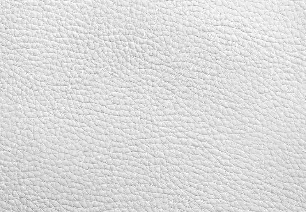 تصویر 3 از قیمت خرید چرم سفید  + فروش ویژه